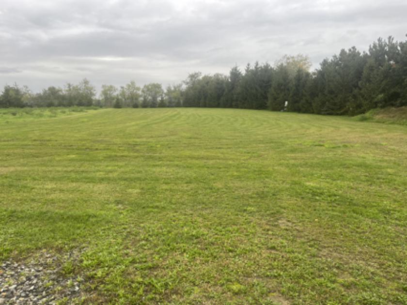 Haus kaufen Mühlberg (Landkreis Elbe-Elster) max 8dpijabzoclf