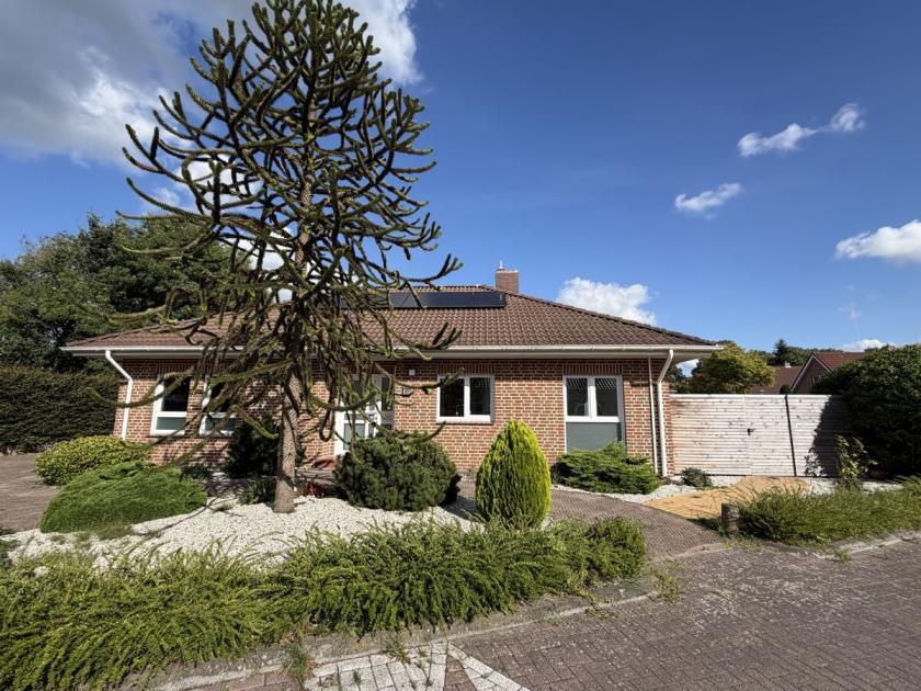 Haus kaufen Neuenhaus max kpgqci89fx6g