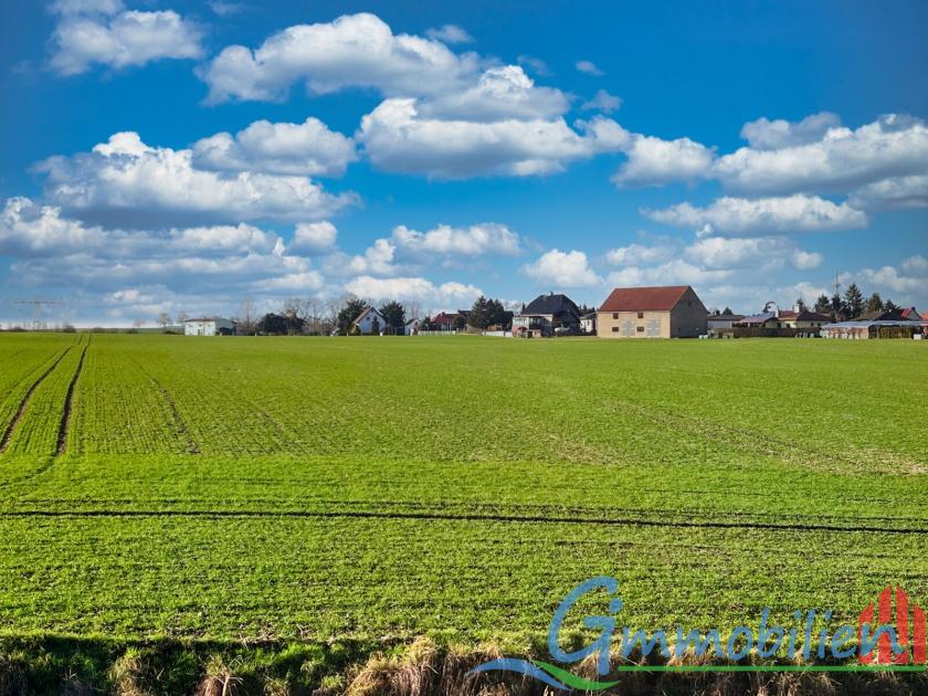 Haus kaufen Otterwisch max wztyx9x7ksmg