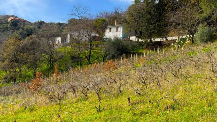 Haus kaufen Ozieri max 1siqt432fr9i