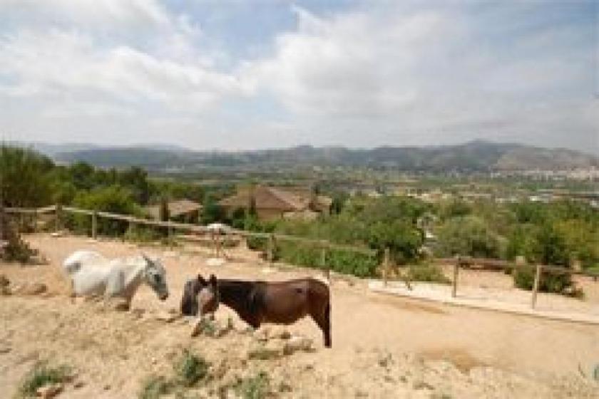 Haus kaufen Pedreguer max iekrkuomzo0p