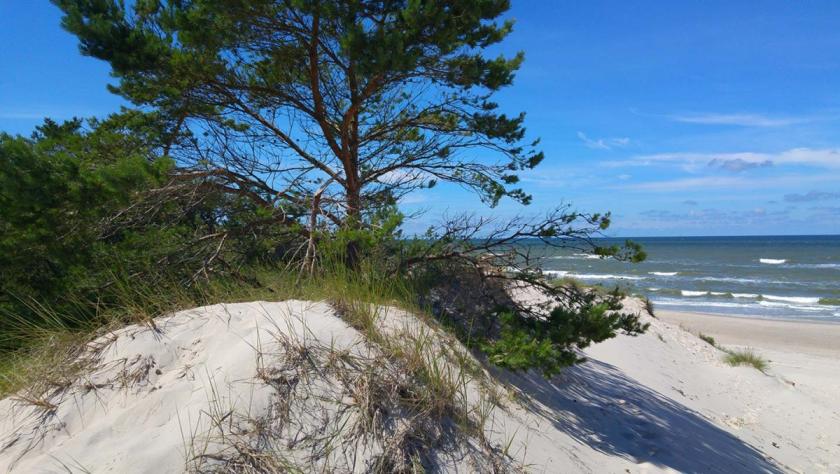 Haus kaufen Retowo max z09bftafi7zu