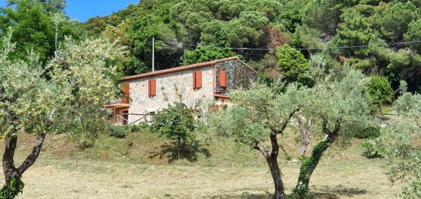 Haus kaufen Riparbella max 9n53cfuf9293