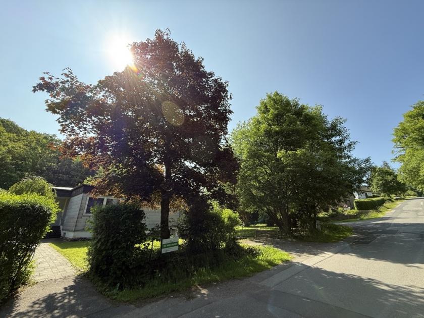 Haus kaufen Roetgen max chso6kjwwzrh