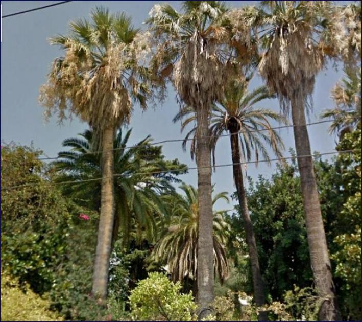 Haus kaufen Sanremo max cx0z1bxv95tj