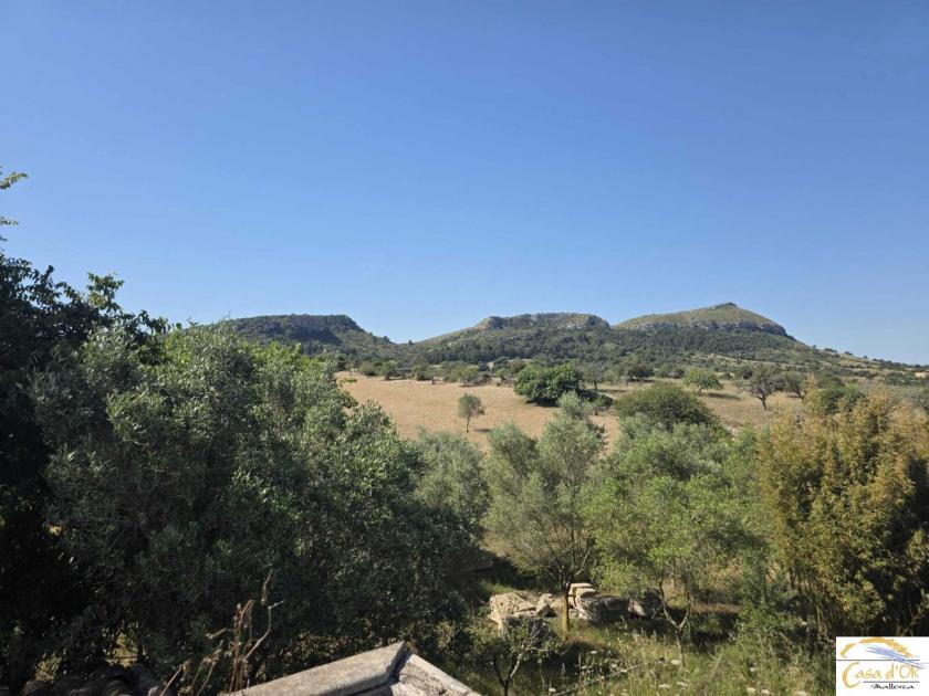 Haus kaufen Sant Llorenç des Cardassar max f1dzrrua5y31
