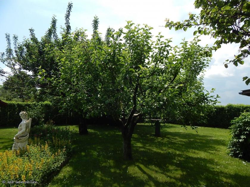 Haus kaufen Szajk max b4ov2rmunzlh