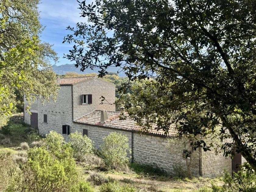 Haus kaufen Tempio Pausania max mt1xhk41jm9z