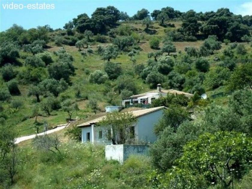 Haus kaufen Tolox max e3u2dzoxugax