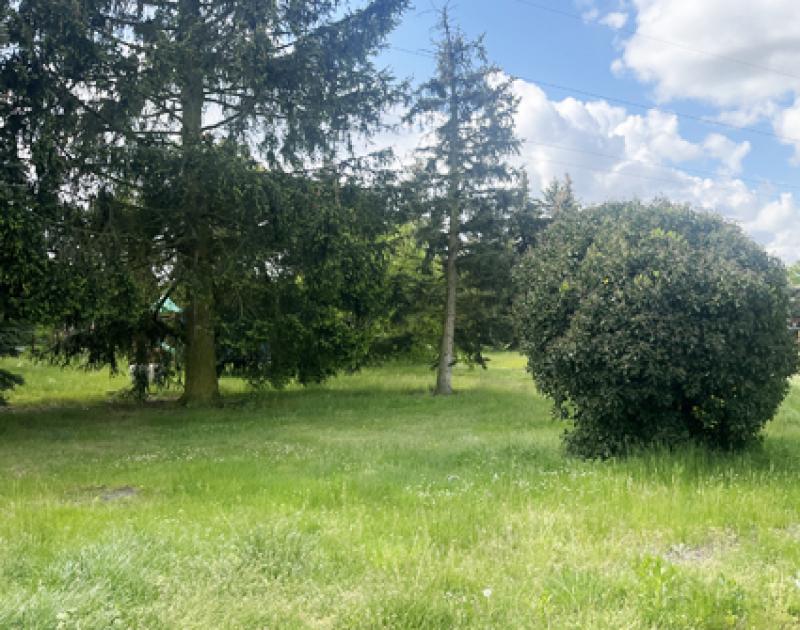 Haus kaufen Tröbitz max 12eucmrj3hn0