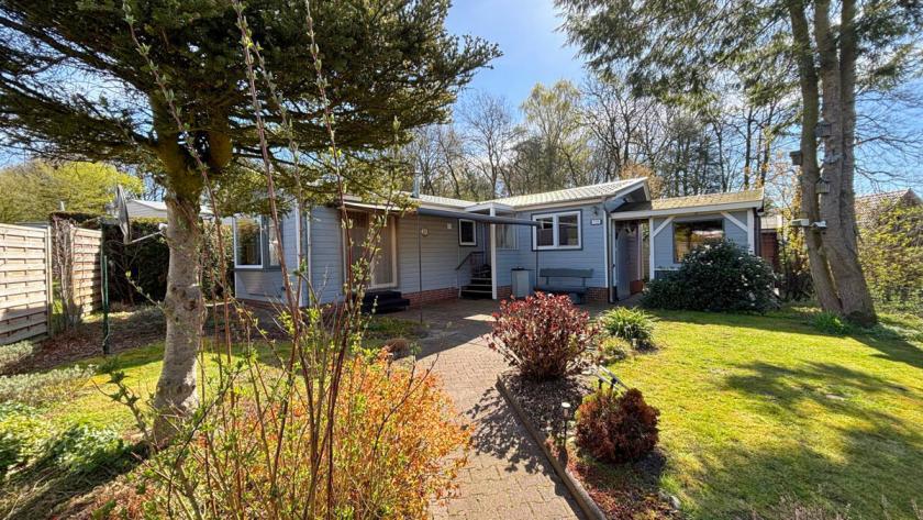 Haus kaufen Uelsen max kdvxsnks2ary