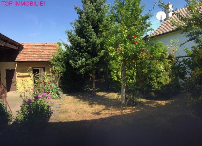 Haus kaufen Wallern im Burgenland max u8o697qb00sa