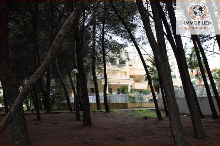 Wohnung kaufen Alcúdia / Port d'Alcúdia max wu3l60dbry6g