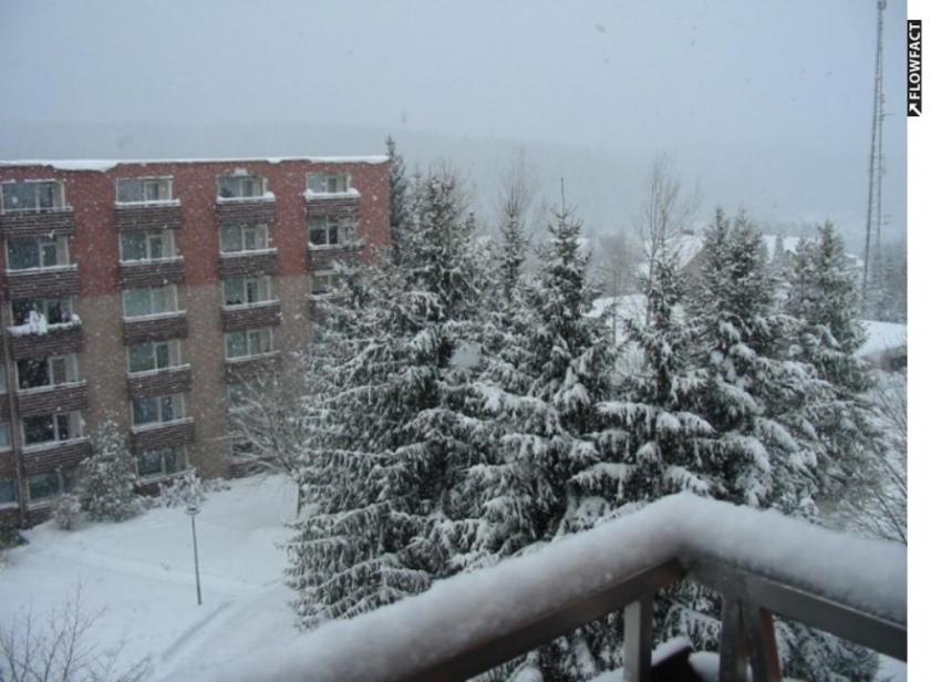 Wohnung kaufen Altenau max nlfo620ptk22