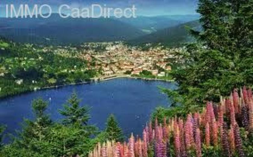 Wohnung kaufen Gerardmer max 5cfdtoin7vis