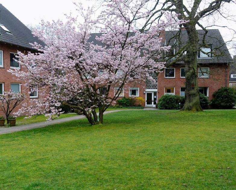 Wohnung kaufen Hamburg max 5s4ylgnczg2l