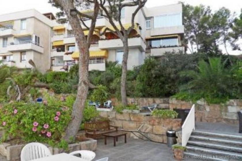 Wohnung kaufen Illetas max xzwlmeby3tjr