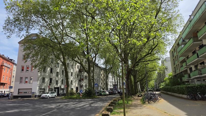 Wohnung kaufen Köln max sti79kph7gzc