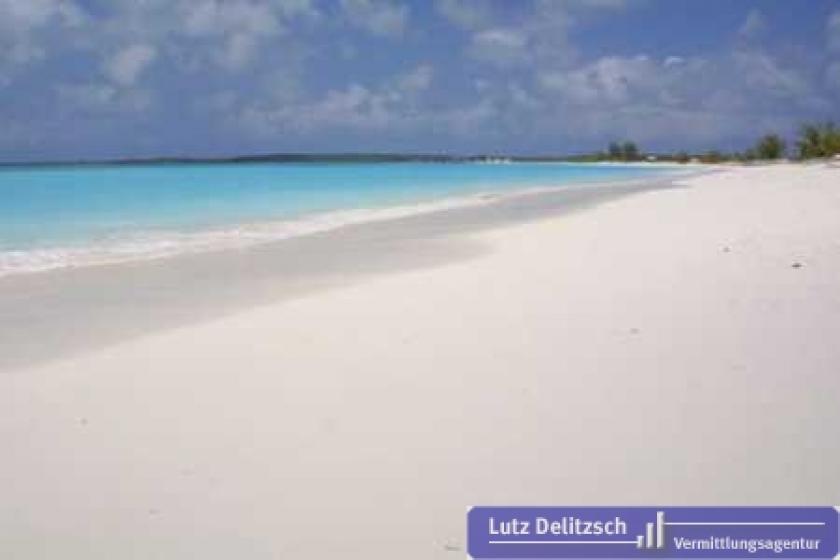 Wohnung kaufen Long Island max bkualc60lq4m