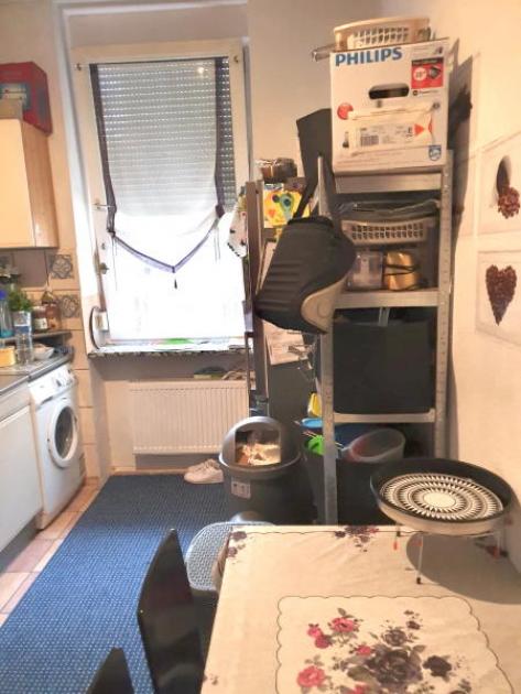 Wohnung kaufen Ludwigshafen am Rhein max m8n3ct5tanf8