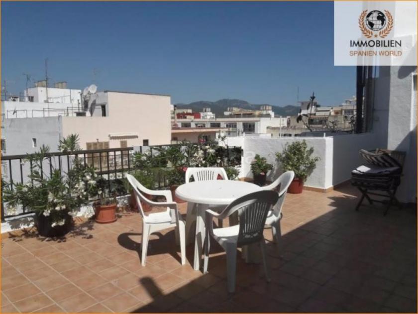 Wohnung kaufen Palma de Mallorca max bzoc41wpqi5r