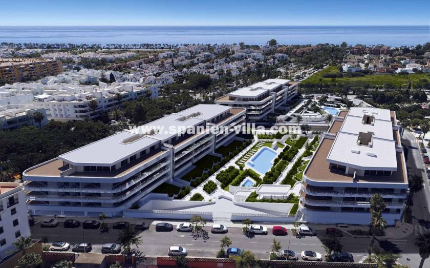 Wohnung kaufen San Pedro de Alcántara max rwdcf29egb28