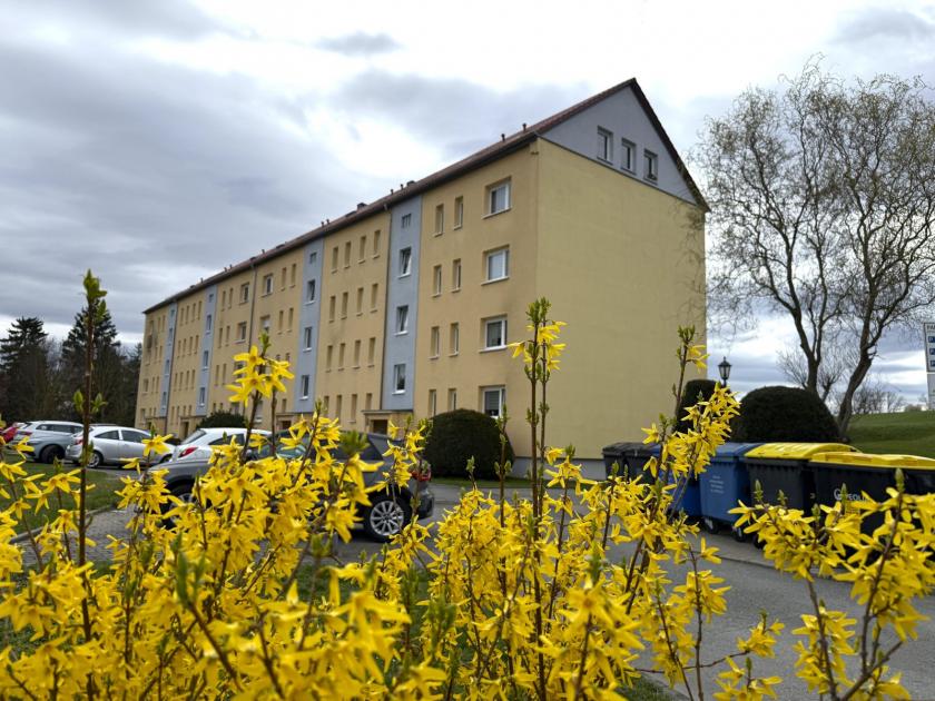 Wohnung kaufen Werdau max ats9kuanv5fo