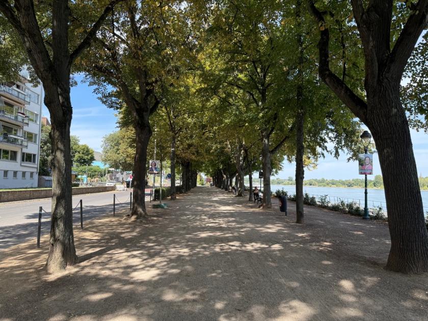 Wohnung mieten Bonn max 4h48ztuxnisq