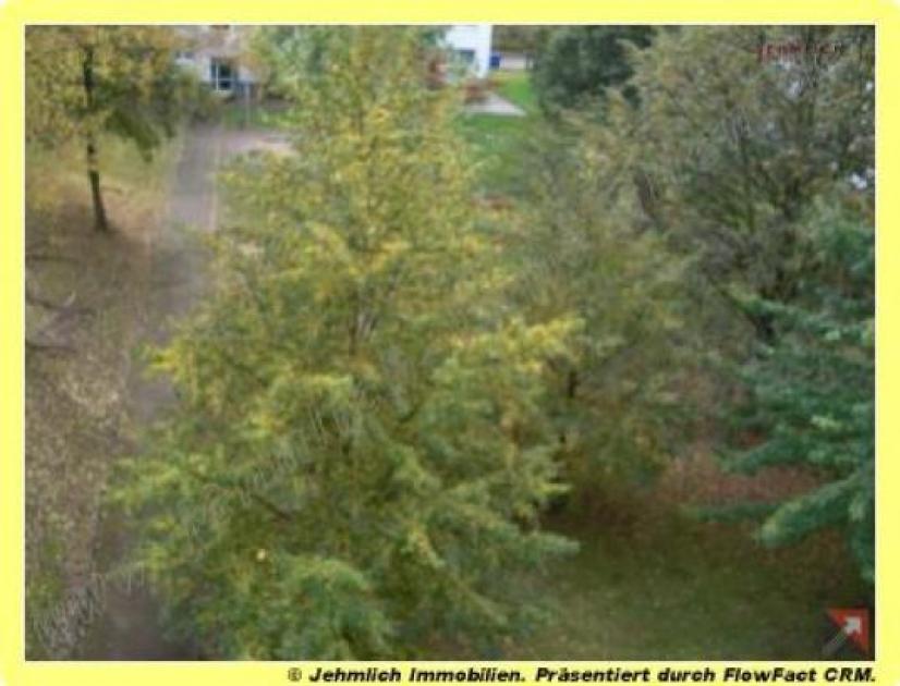 Wohnung mieten Chemnitz max axn7v3ws3tar