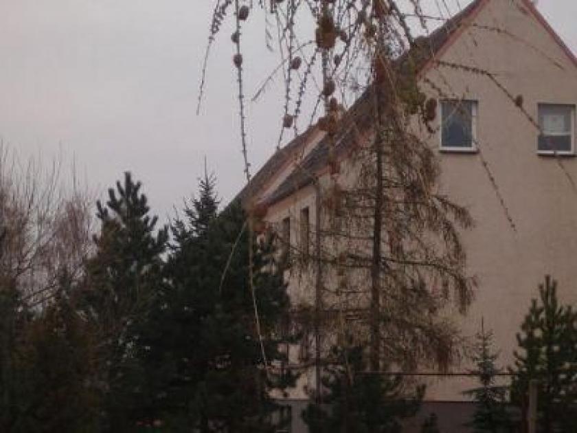 Wohnung mieten Jerichow max 51pwe2wdyo1k