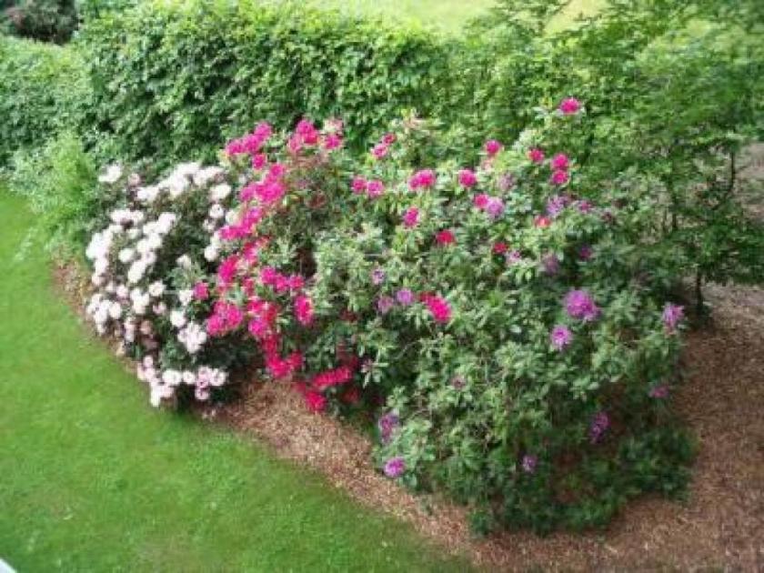 Wohnung mieten Oldenburg max sx8pyefl9fs1