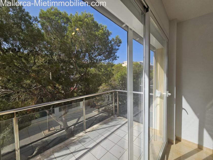 Wohnung mieten Portocristo max 3ocah8x6lguv