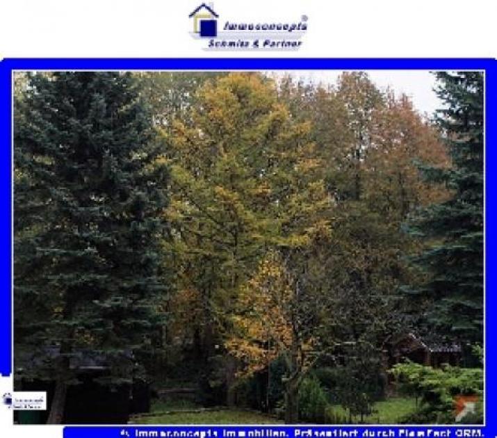 Wohnung mieten Stolberg max uwz75m878r8w