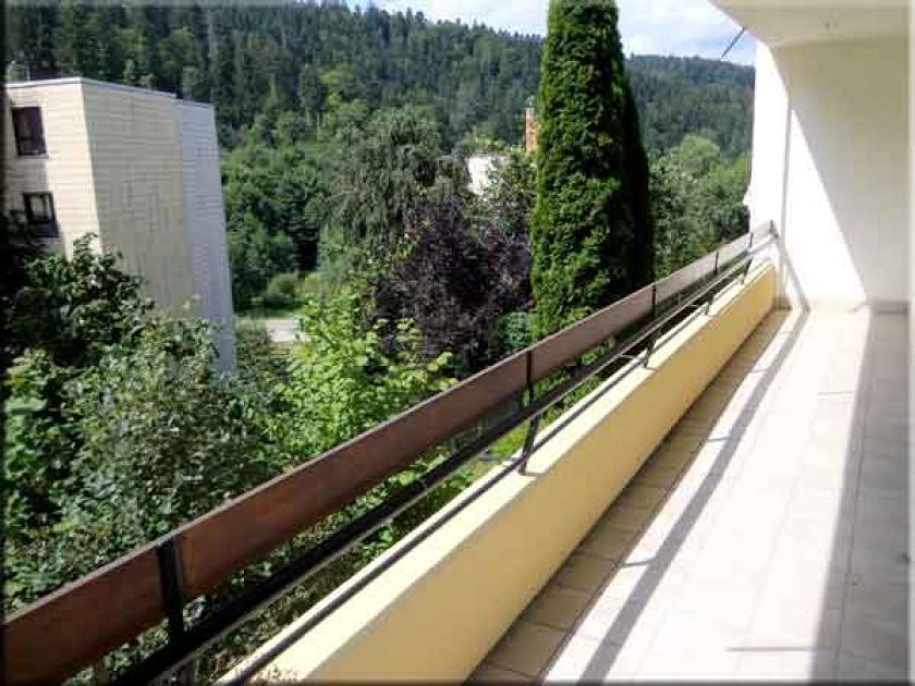 Wohnung mieten Triberg im Schwarzwald max nrgdmna6scuv