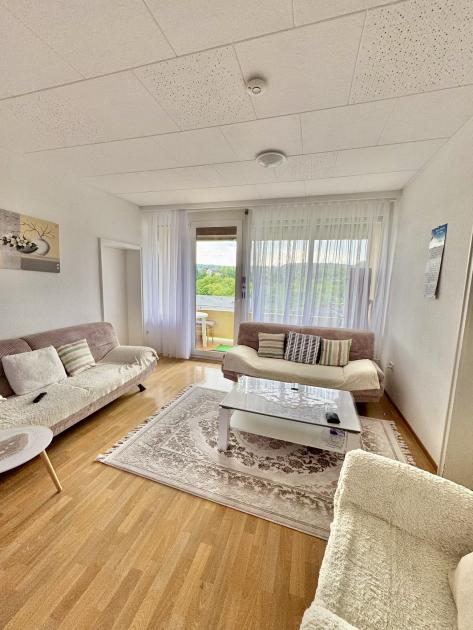 Wohnung mieten Waldshut-Tiengen max 6aufiuaze0kx