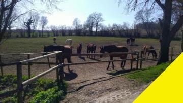 Gewerbe kaufen Bad Waldsee mittel c0qrsjy7yy6q