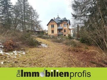 Grundstück kaufen Adorf mittel 8m9schwf1k7i