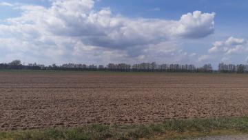 Grundstück kaufen Borkheide mittel yfckpk9jii7d