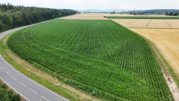 Grundstück kaufen Groß-Umstadt mittel lb1syqin9hvw