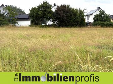 Grundstück kaufen Sparneck mittel 12r9p0u4hukt