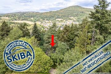 Haus kaufen Antweiler mittel dqrv1916z8p1