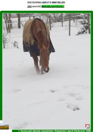 Haus kaufen Bad Belzig mittel jqexy0jgdb9i