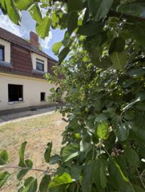 Haus kaufen Herzberg (Elster) mittel 0i5hb9r2ihgm